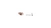 Tern Sicherungs-Kit  L gold, silber