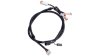 Tranzx DP16  Unisize schwarz, weiß