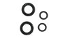 Avid O-Ring-Kit  1 1/8  schwarz, transparent