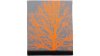 Wowow Quadro  XXL orange, grau