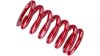 RockShox Feder  1 1/8  rot