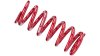 RockShox Feder  1 1/8  rot