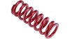 RockShox Feder  1 1/8  rot