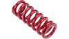 RockShox Feder  1 1/8  rot