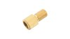 CONTEC Dutch Classic 2.0  XL gold