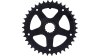 FSA Kettenblatt  Unisize schwarz