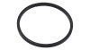 Shimano Sprengring  L schwarz