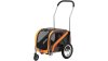 Blue Bird Mini  XXL orange, braun