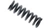 RockShox Feder  L schwarz