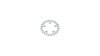 Stronglight Kettenblatt  XL silber