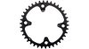 Campagnolo Ekar  Unisize schwarz