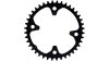 Campagnolo Ekar  Unisize schwarz