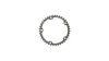 Campagnolo Kettenblatt  Unisize silber