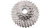 Campagnolo Super Record WRL 13S  L silber