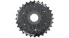 Shimano CS-HG 200-7  Unisize braun