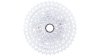 Campagnolo Ekar 13s  L silber