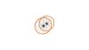 Point Fixed and Free  F1 schwarz, orange