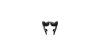 SRAM Force 22 / Force 1  17 mm schwarz, grau