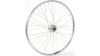 CONTEC Classic Z19 + Shimano DH-3D32  XXL silber