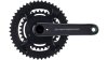 Campagnolo Super Record WRL 12s PWM  XL schwarz