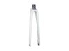 Trek Fork Rigid Madone SLR 2025 XS Iridescent Blue Pear