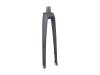 Trek Fork Rigid FX Sport 4 Carbon Thru-Skew Onyx Carbon