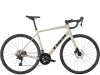 Trek Domane AL 4 49 Gloss Supernova