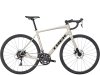 Trek Domane AL 2 56 Gloss Supernova