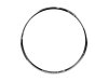 Bontrager Felge Bontrager Race 700C Presta 24L TLR Black hin