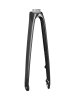 Trek Fork Rigid Trek Speed Concept SLR Carbon Smoke/Tre