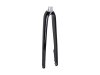 Trek Fork Rigid Trek Domane AL 4 53R Trek Black