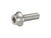 Trek Fastener Trek Front Derailleur Braze-On Bolt Carbo