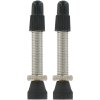 VAR 2 Stk. Tubeless-Ventil RP-44400 35 mm