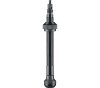 Schwalbe Schwalbe Tubeless-Ventil Ein Paar 60 mm