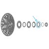 SHIMANO Ritzel für CS-LG700 11 Zähne
