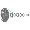 SHIMANO Ritzel für CS-LG700 17 Zähne