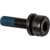 SHIMANO Befestigungsschraube Bremssatteladapter Flat-Mount-Rahmen 10 mm M5 x 16,8 mm